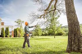 How Our Tree Care Process Works  in  Manasota Key, FL