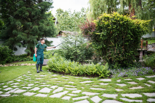 Lawn Pest Prevention in Manasota Key, FL